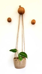 Cherrywood Balls Wall Hooks (3 Pack) - Made to order