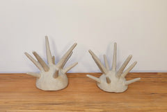 The Echinus Pots - Made to Order