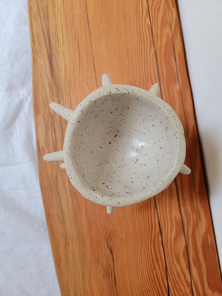 The Echinus Pots - Made to Order