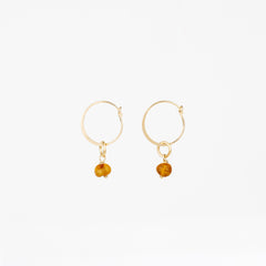 The Baltic Amber - Amber Gold Removable Charm Earrings