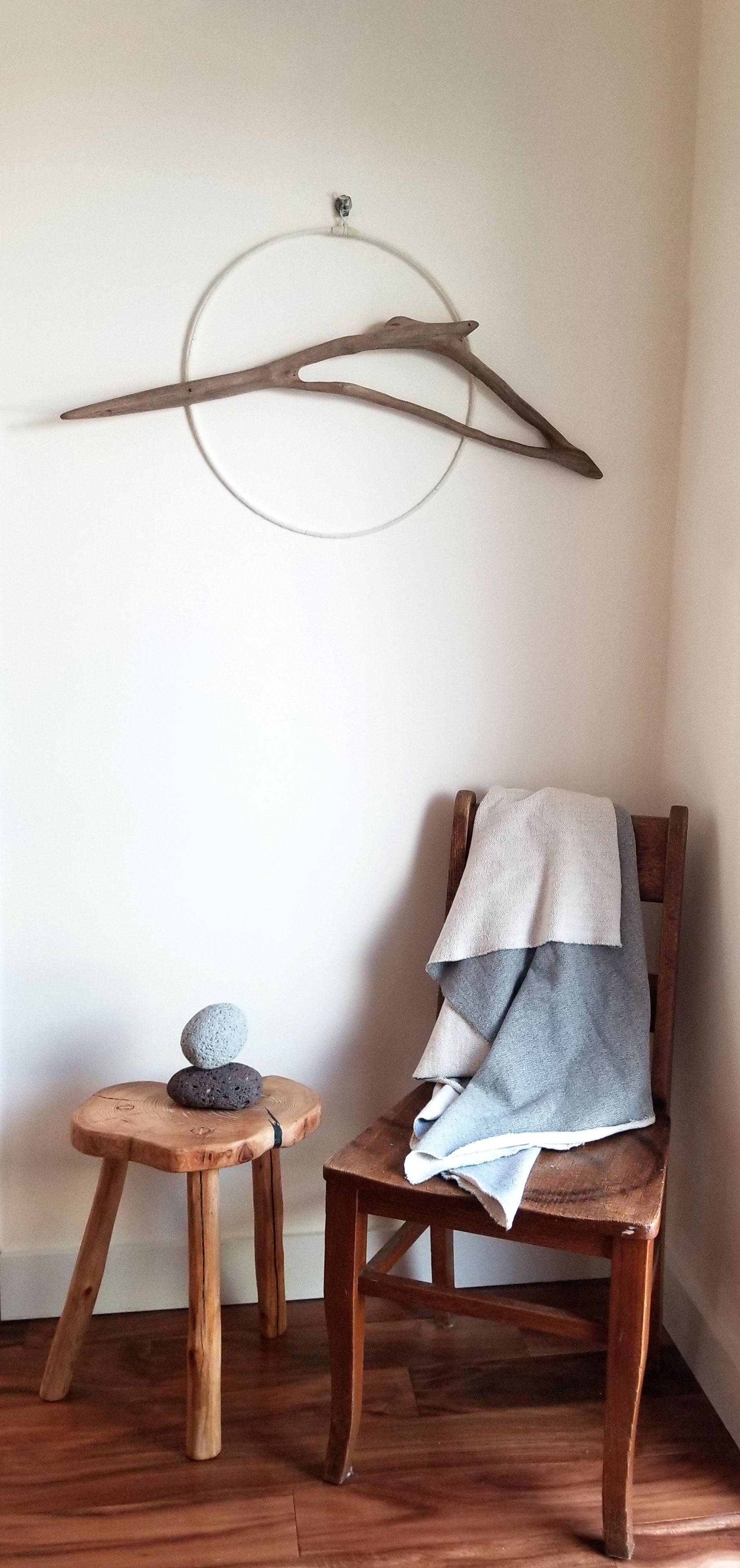 Steller's Jay - SOLD