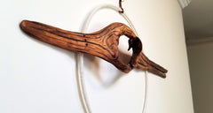 Tiger's Eye - SOLD
