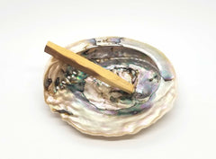 Abalone Shell