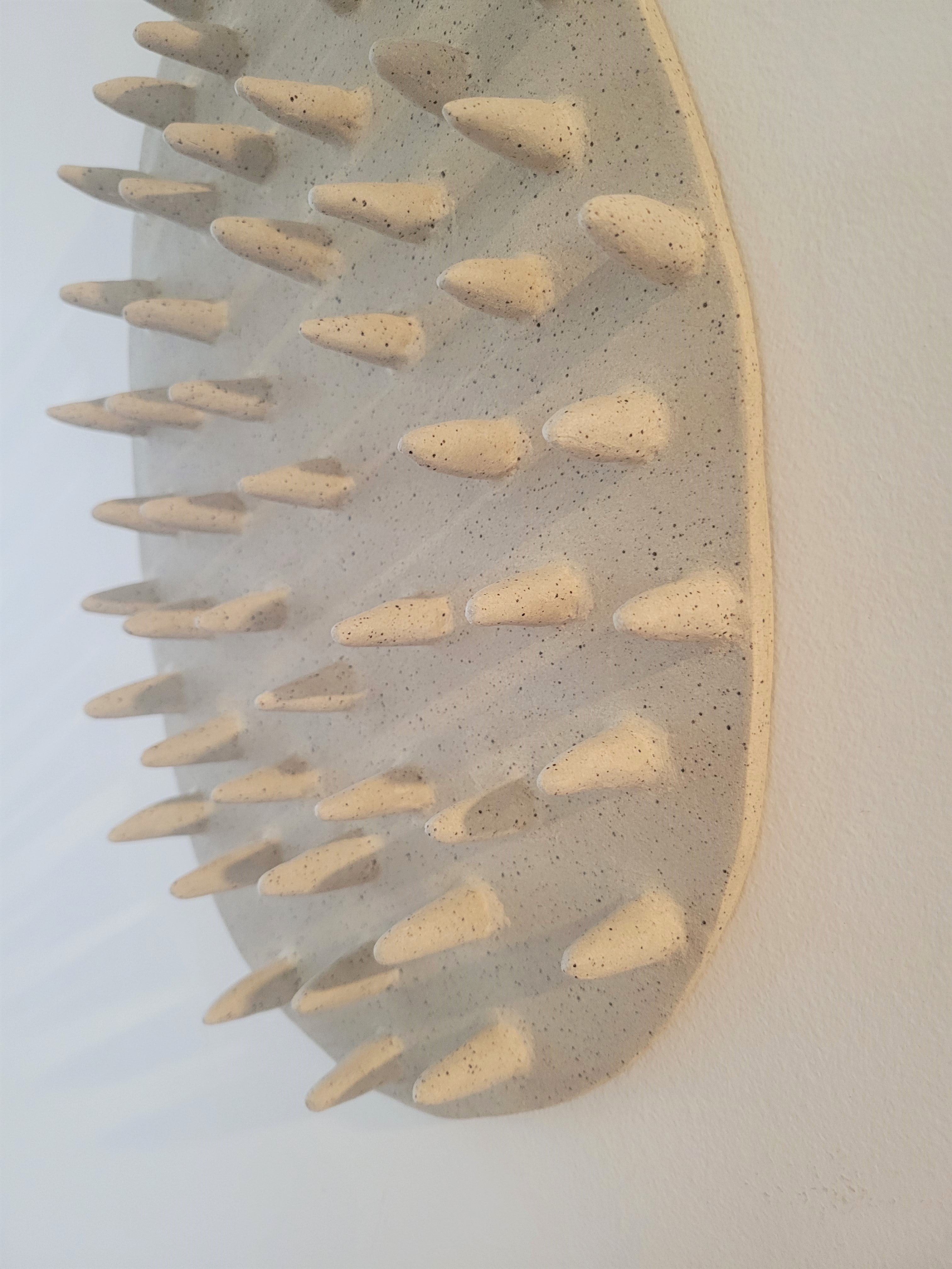 Heteractis Magnifica Ceramic Wall Hanging
