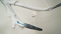 Ms. Wolf - Calm after the Storm - Chalcedony Lg - SOLD