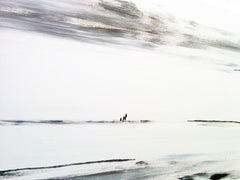 #1 Snow Leopard - SOLD